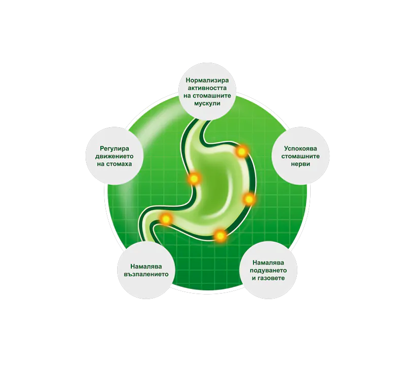 product Article 1