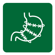 Icon symbolizing Indigestion